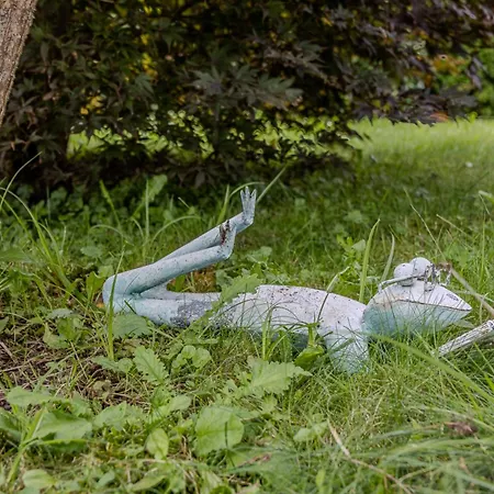 Hahnenkamm Residenz Daire *